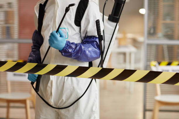 Professional Hoarding Cleanup technician working in Brentwood, MD